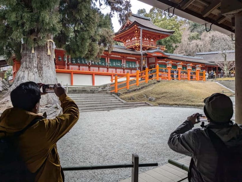 Nara: UNESCO Heritage Sites & Deer Park Tour with Pro guide - Who should book it