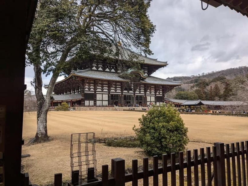 Nara: UNESCO Heritage Sites & Deer Park Tour with Pro guide - Meeting the deer in Nara Park