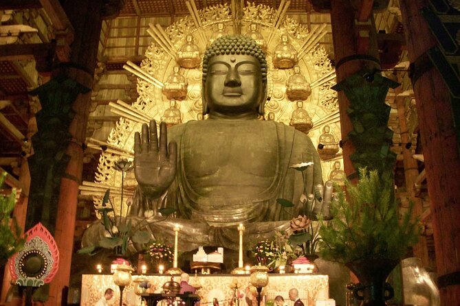 Nara World Heritage PRIVATE TOUR - Why this private Nara walk works so well