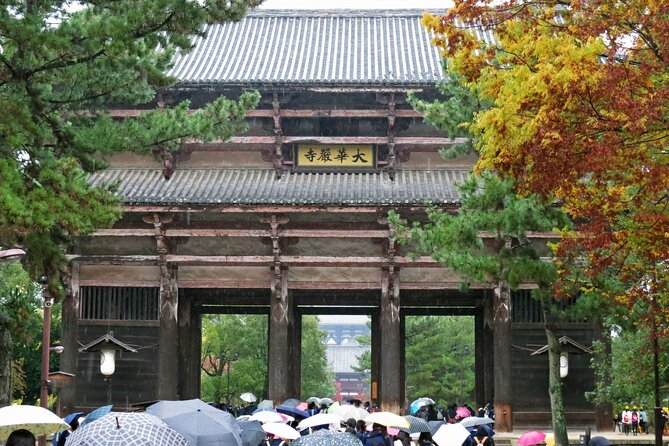 Nara World Heritage PRIVATE TOUR - The quiet view at Ukimido Pavilion