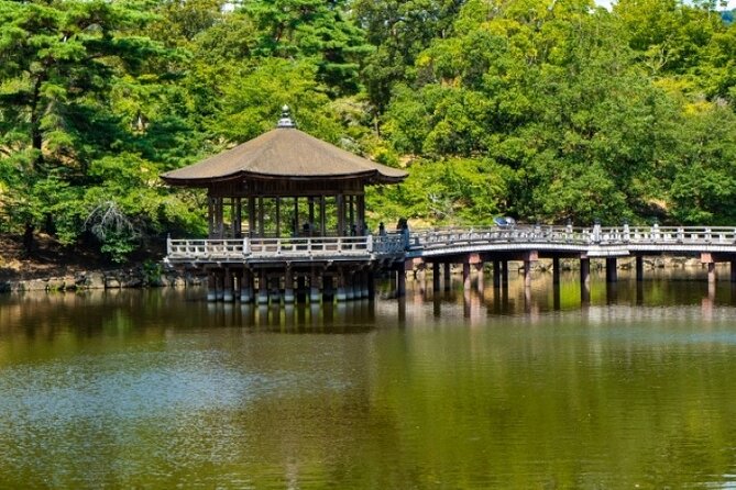 Nara World Heritage PRIVATE TOUR - How the guide changes the experience
