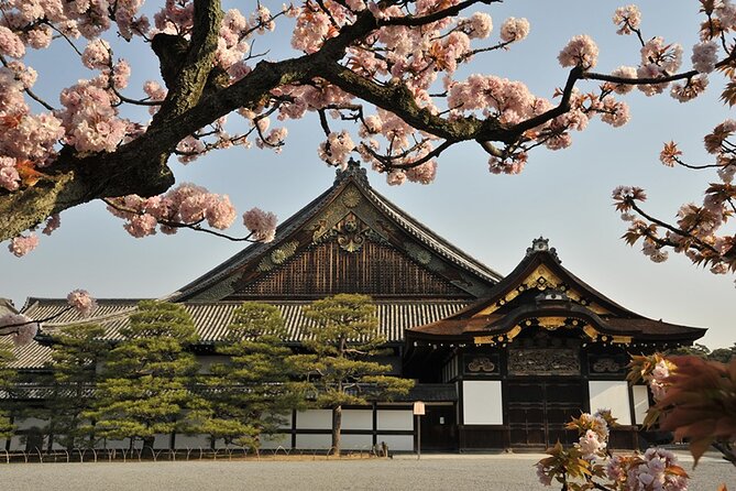 Nijo Castle Samurai Inside Story — Top-Rated Guide (Max 8) - Who will get the most from this tour