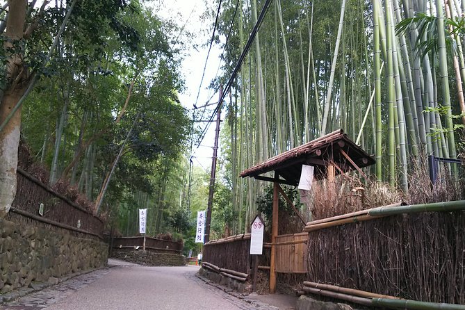 One-Day Walking Tour : Enjoy Kyoto to the fullest! - Who should book this Kyoto day tour?