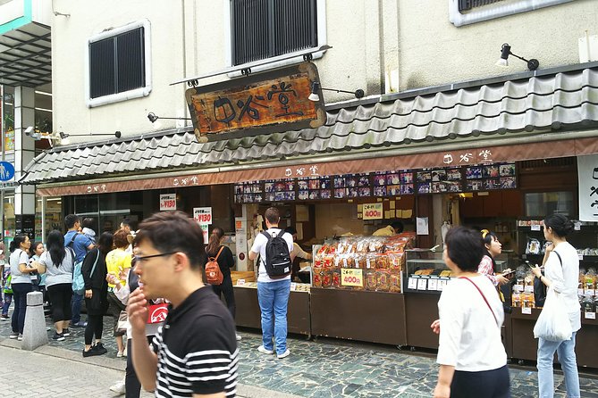 One-Day Walking Tour of Amazing 8th Century Capital Nara - What the private format really gives you