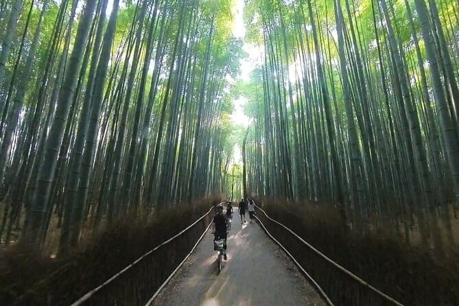ONLY YOU in the Bamboo Forest! 4 hours E-bike tour with a local - Bamboo Forest Street before the crowds