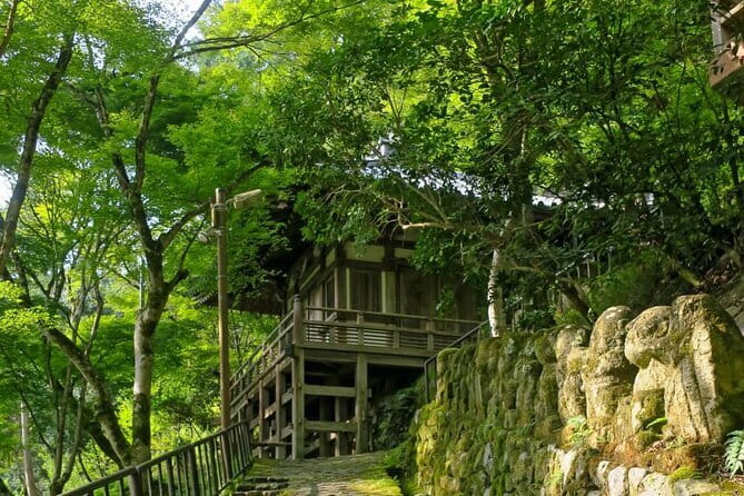 Otagi Nenbutsu Temple and Arashiyama Bamboo Forest Tour - What the included car ride changes