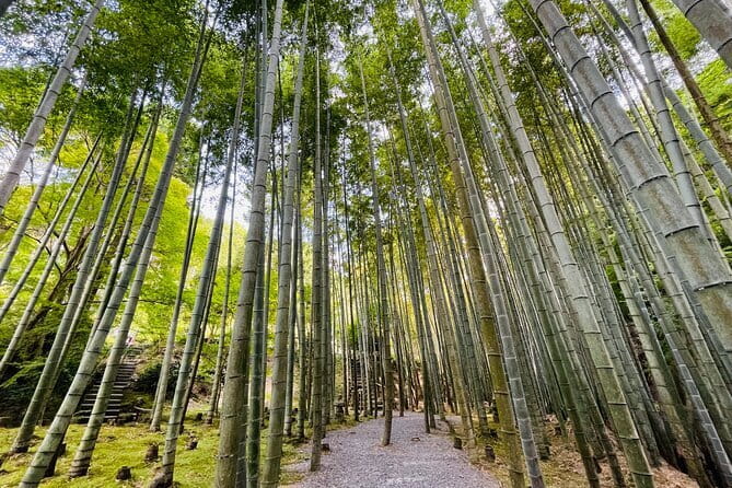Pedal Adventure Kyoto E-Bike tour : True Kyoto Avoid the crowds - Enkoji Temple and a quieter side of Kyoto