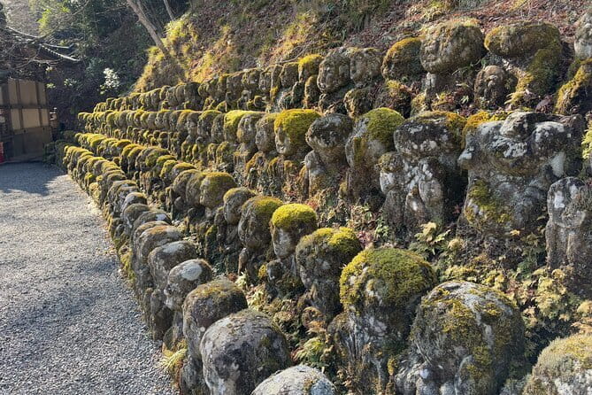 Pedal Adventure Kyoto's iconic landmarks on an e-bike tour - A guide who teaches through stories