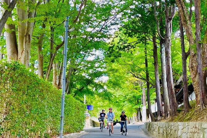 Pedal Adventure Kyoto's iconic landmarks on an e-bike tour - Starting near Shōgoin and settling into the ride