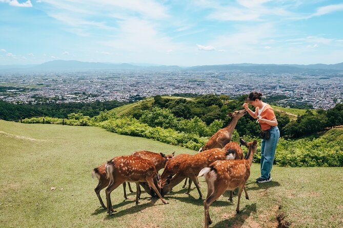 Perfect Nara Park Half-Day Bus Tour with English Speaking Guide - Why this four-hour Nara tour works