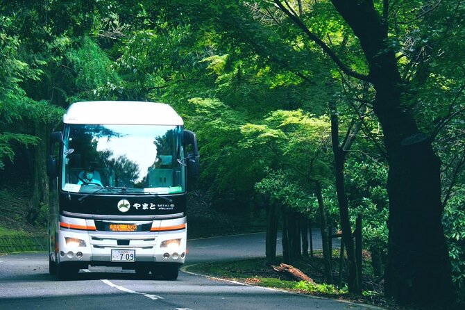 Perfect Nara Park Half-Day Bus Tour with English Speaking Guide - Feeding the deer in Nara Park