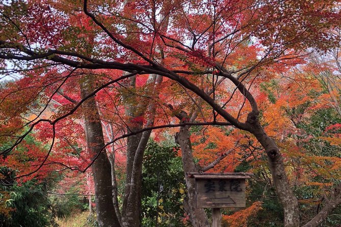 Private car tour in Kyoto (up to 4) - Ending in Gion