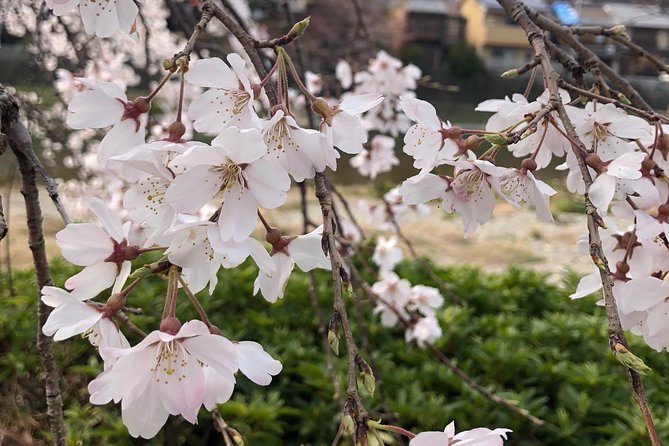 Private car tour in Kyoto (up to 4) - The thousand figures at Sanjūsangen-dō