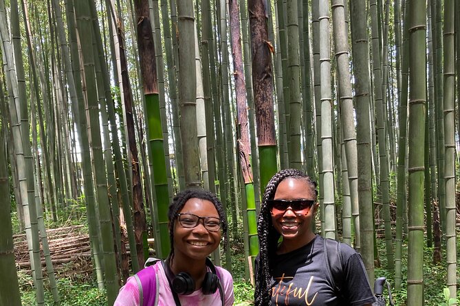 Private Custom Tour: Kyoto in One Day - Kiyomizu-dera and Kyoto’s old lanes