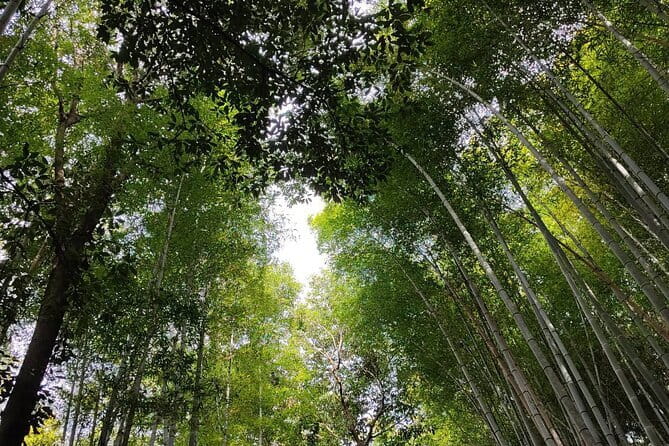 Private Customized Walking Tour in Kyoto - A private Kyoto day instead of a fixed route