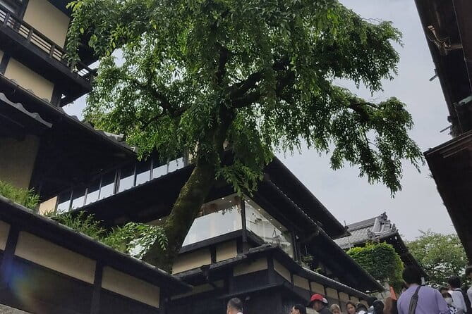 Private Customized Walking Tour in Kyoto - What the $130.06 price really buys you