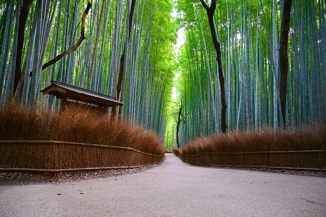 Private Day Tour - Kyoto Arashiyama & Bamboo Forest Perfect Tour! - Key points at a glance