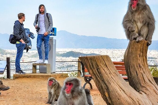 Private Day Tour - Kyoto Arashiyama & Bamboo Forest Perfect Tour! - Monkey Park Iwatayama, the most strenuous stop