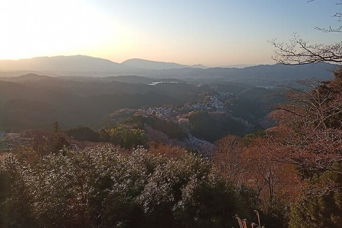 Private Guided Half-Day Walking Tour in Yoshinoyama - Key points to know before you book