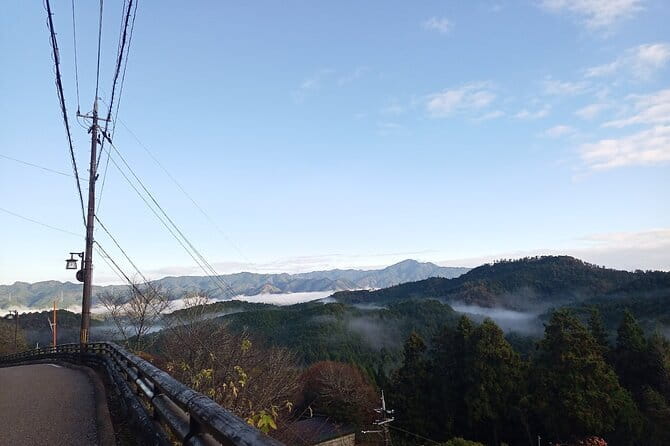 Private Guided Half-Day Walking Tour in Yoshinoyama - Kane no Torii, a gate between ordinary life and sacred ground