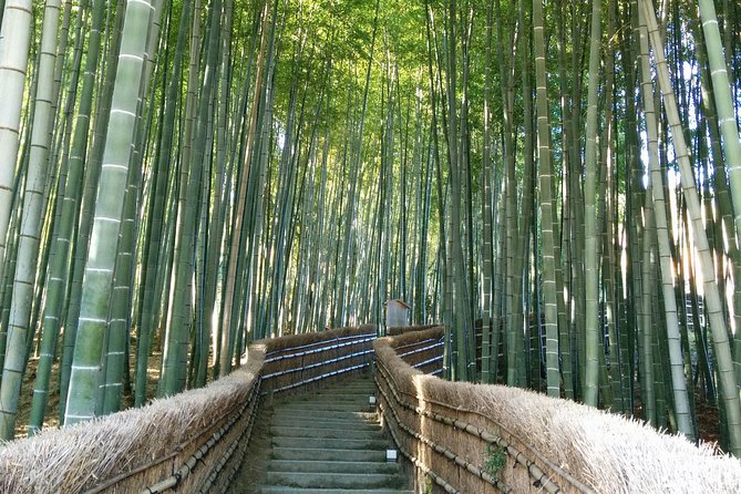 Private Highlights of Kyoto Tour - Key points to know before booking