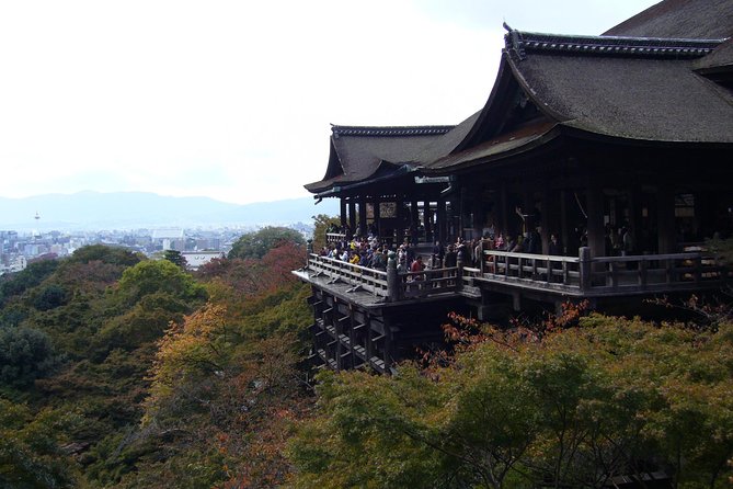 Private Highlights of Kyoto Tour - What the private guide adds