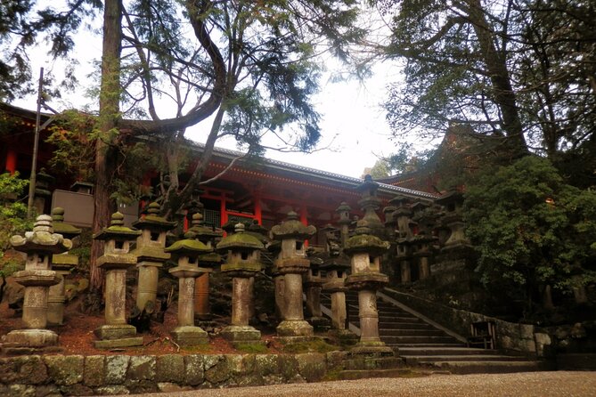 Private Journey in Nara’s Historical Wonder - Nara National Museum and the former palace grounds
