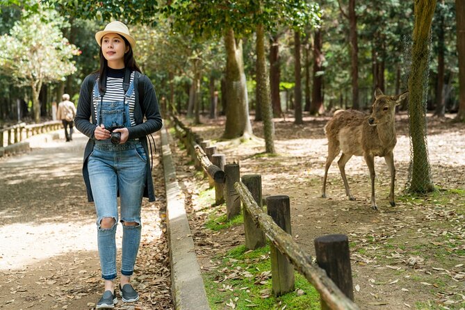 Private Journey in Nara’s Historical Wonder - What the $1,207.46 price really means