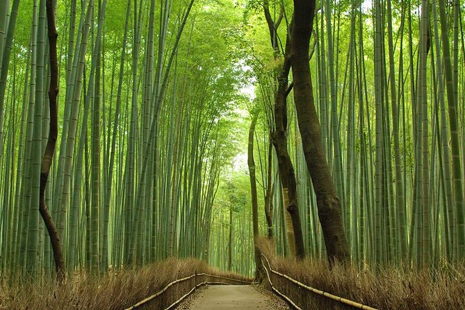 Private Kyoto Arashiyama Custom Half-Day Tour by Chartered Vehicle - Tenryu-ji Temple and its garden