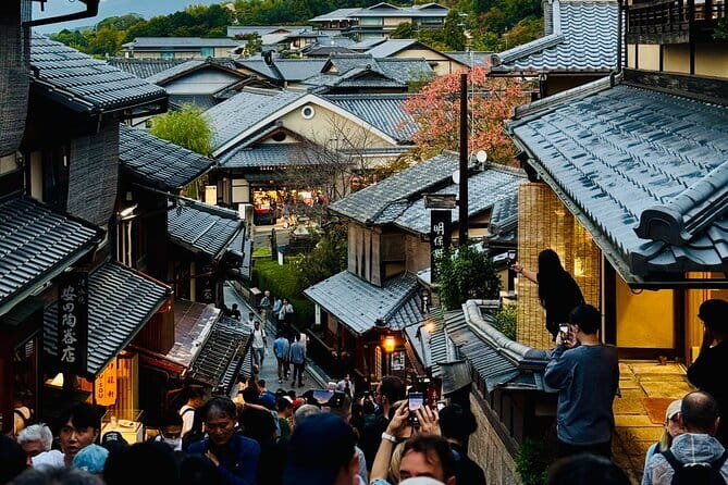 Private Kyoto Customizable Day Tour with English Speaking Driver - What this Kyoto day tour is really like