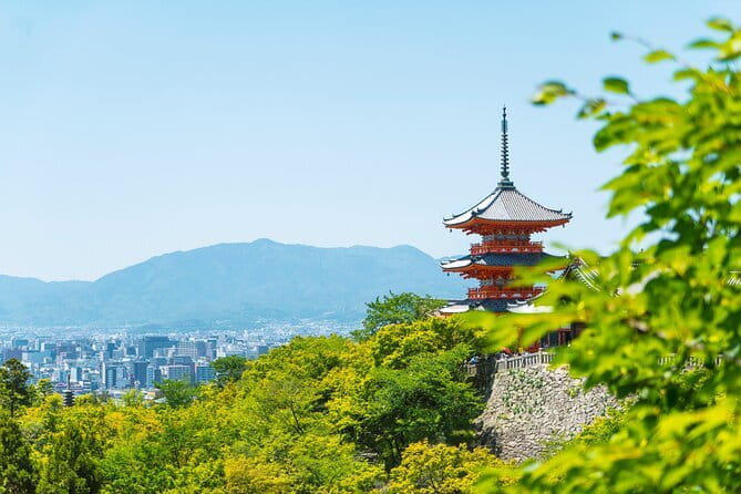 Private Kyoto Customizable Day Tour with English Speaking Driver - Fushimi Inari: red gates and the final walk