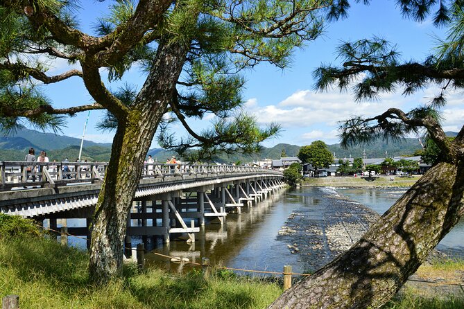 Private Kyoto Customizable Day Tour with Guide and Vehicle - Fushimi Inari: red torii gates and the day’s grand finale