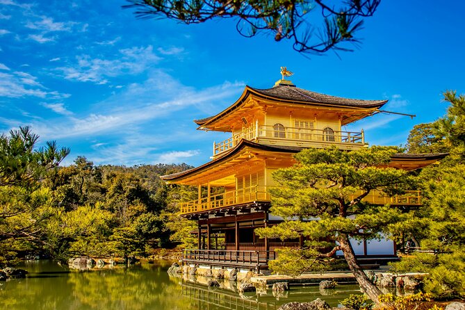 Private Kyoto Customizable Day Tour with Guide and Vehicle - Guides who shape the experience