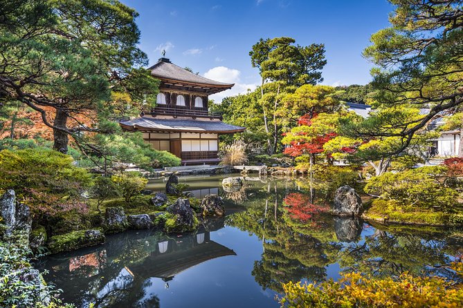 Private Kyoto Family Tour with a Local – 100% Personalized - Nishiki Market, where the food becomes the activity