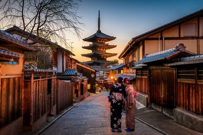 Private Kyoto Family Tour with a Local – 100% Personalized - A green pause with turtles in the ponds