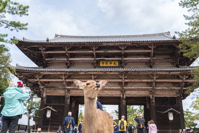 Private Kyoto Tour by Car with Optional Nara or Osaka Add-Ons - A private Kyoto day with room to change plans