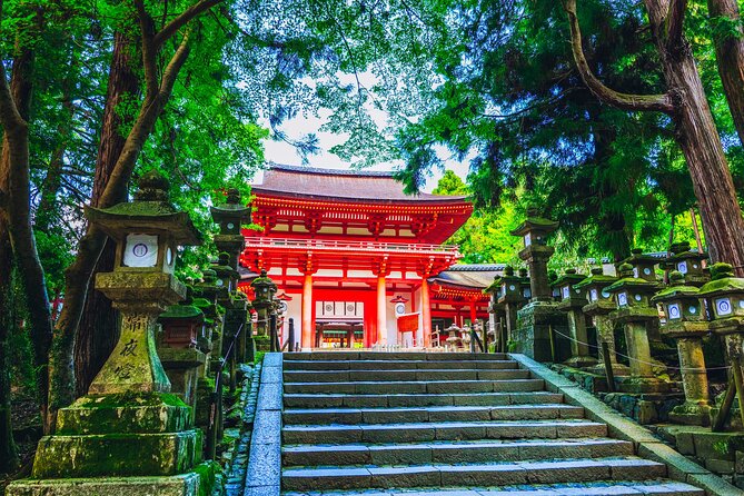Private Kyoto Tour by Car with Optional Nara or Osaka Add-Ons - Nishiki Market for food and local color