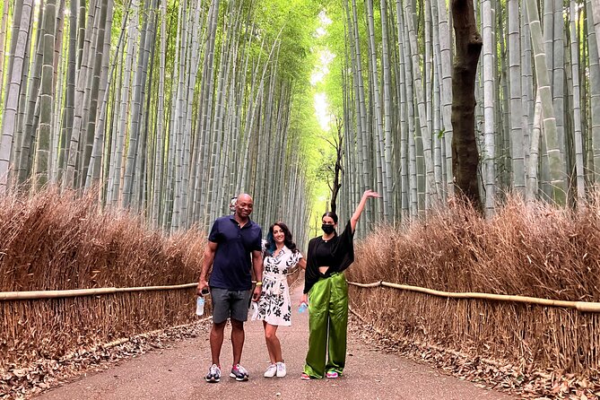 Private Kyoto Tour with Licensed Guide & Vehicle (Max 15 persons) - Kinkaku-ji, Ryoan-ji, and northern Kyoto