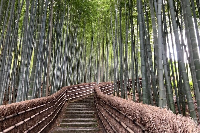 Private Kyoto with Exceptional Guide Tailored to Your Needs - A Kyoto day built around you