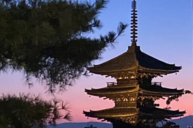 Private Kyoto with Exceptional Guide Tailored to Your Needs - Nijo Castle and the meeting of two Japanese powers