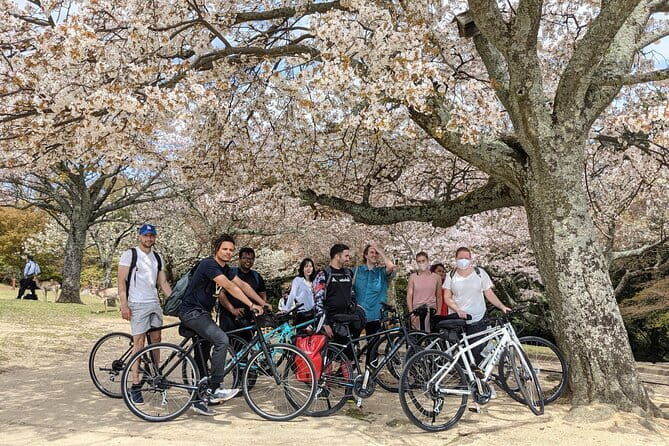 Private Nara Tour and Sake Tasting (Departing from Kyoto/Nara) - Harushika Brewery and the optional sake tasting