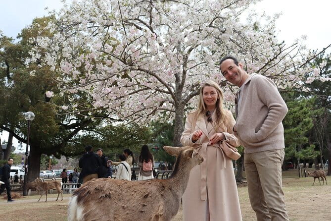 Private Nara Tour and Sake Tasting (Departing from Kyoto/Nara) - Kofuku-ji and the first look at Nara’s Buddhist past