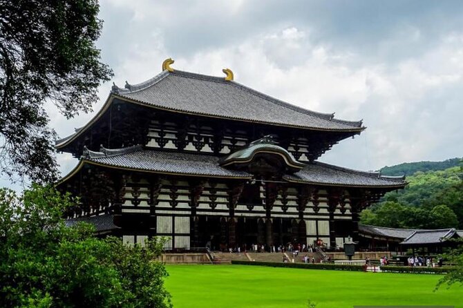 Private Tour Kyoto-Nara w/Hotel Pick Up & Drop off from Kyoto - Driver/host or licensed guide?