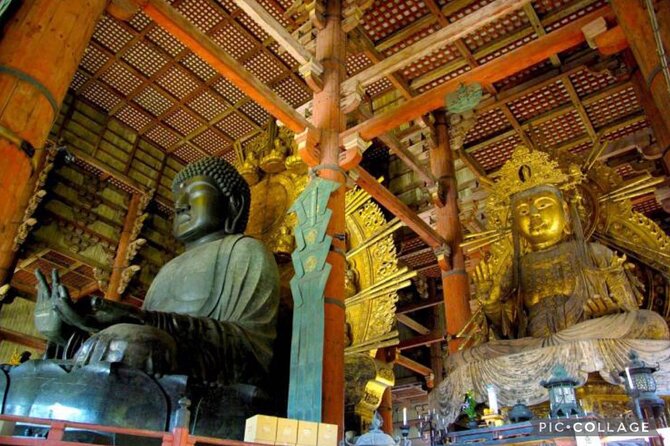 Private Tour Kyoto-Nara w/Hotel Pick Up & Drop off from Kyoto - Price, group size, and the value question