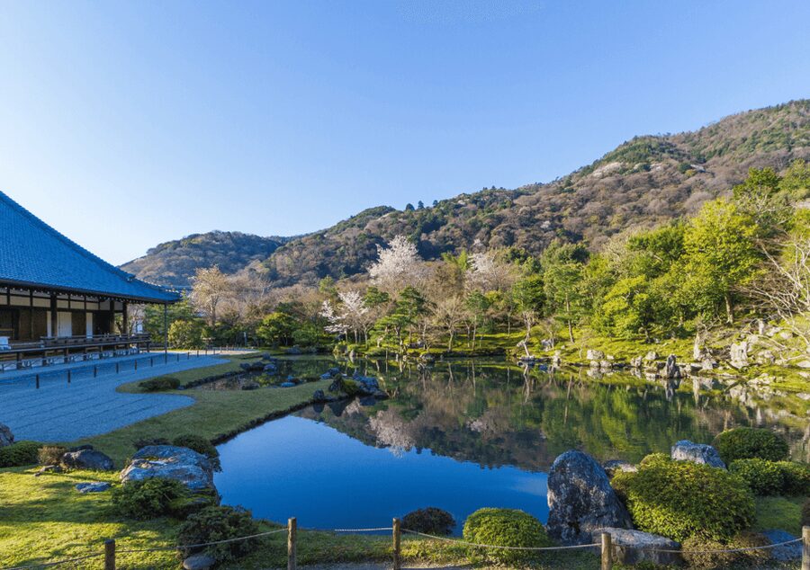 Private Tour to Monkey Park and Arashiyama Highlights - Is $38 a Good Value?