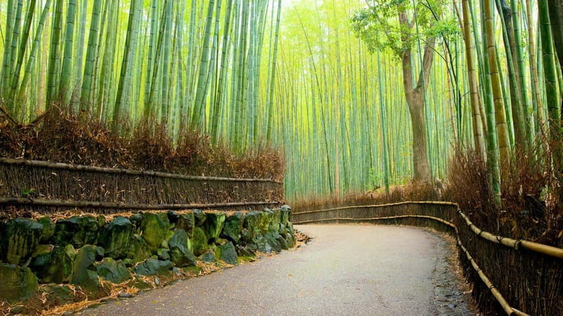 Private Tour to Monkey Park and Arashiyama Highlights - The Uphill Walk to Iwatayama