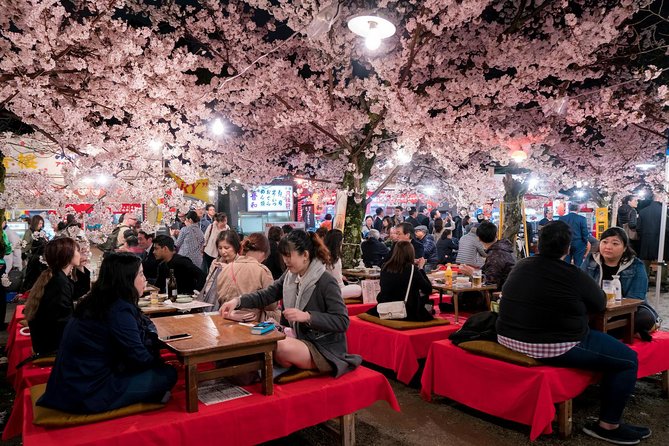 Private & Unique Kyoto Cherry Blossom "Sakura" Experience - A personal guide changes the pace