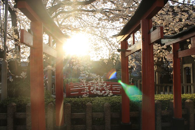 Private & Unique Kyoto Cherry Blossom "Sakura" Experience - How the four hours work in practice