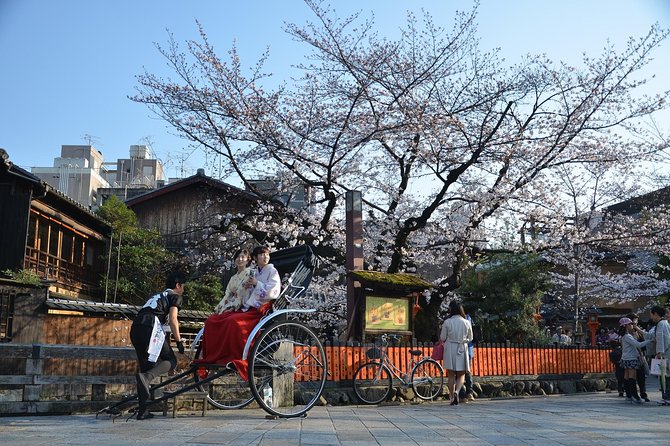 Private & Unique Kyoto Cherry Blossom "Sakura" Experience - Eating beneath the blossoms