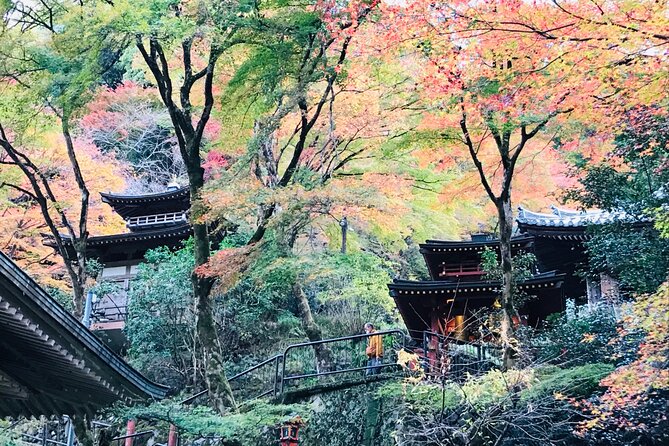 Private Walking Tour in Bamboo Forest & Hidden Spots in Arashiyama - Why this route works better than a bamboo-only visit